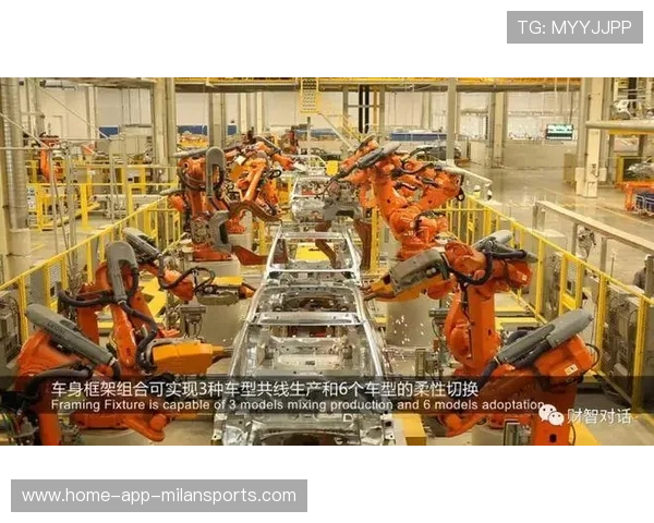 未来之路：夺冠还是季后赛大戏？，未来之路节目