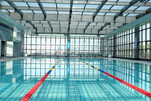 米兰体育网页版(官方}-世界游泳锦标赛中国运动员连续夺牌,世界游泳锦标赛中国运动员连续夺牌几次