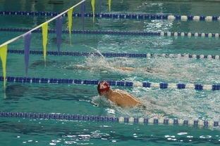 米兰体育网页版(官方}-世界游泳锦标赛中国运动员连续夺牌,世界游泳锦标赛中国运动员连续夺牌几次